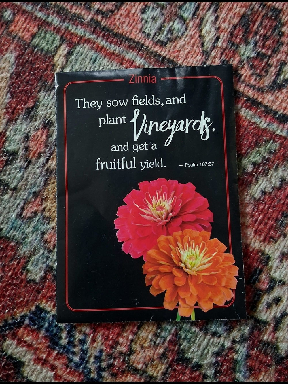 Zinnia Seeds < FREEBIE